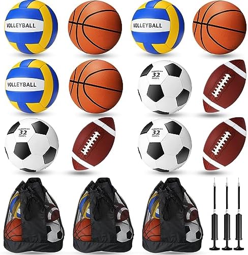 Ultimate Sports Ball Set: 12 Pieces, 3 Bags, 3 Pumps!